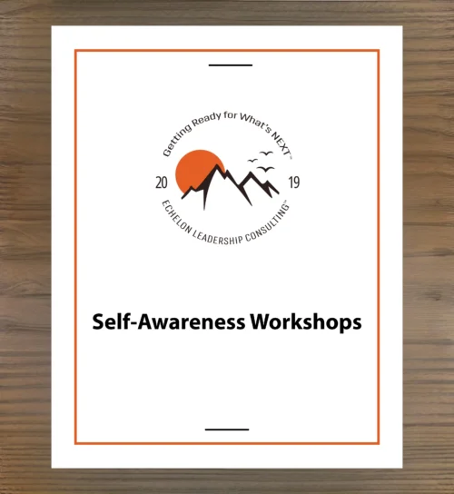 Self-Awareness Workshops