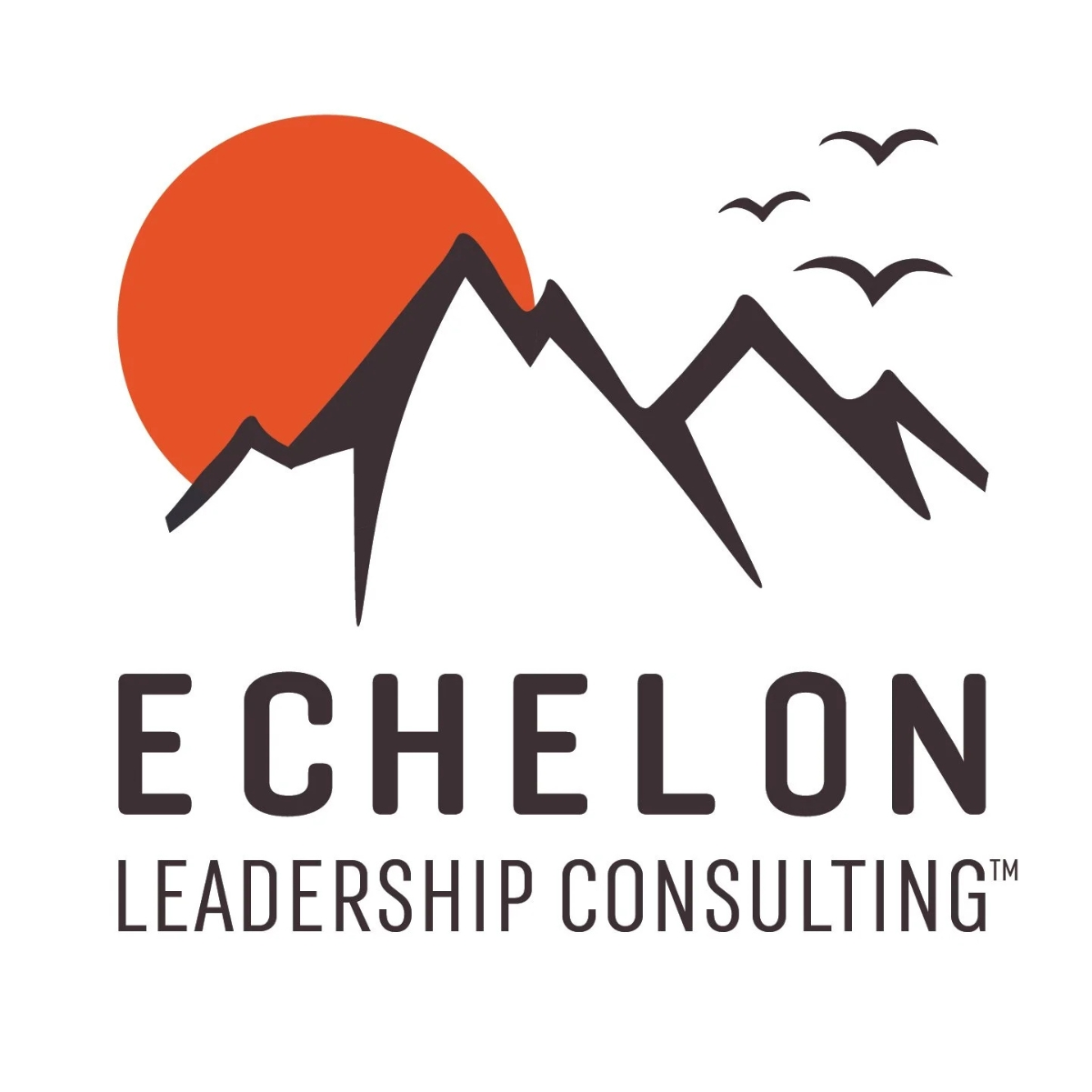 Echelon Leadership Consulting™, LLC